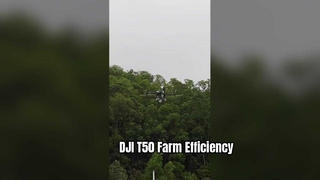 Vol d’essai du drone DJI T50 Pulvérisation agricole Épandage